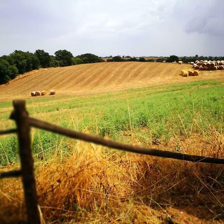 ローマ Ars Naturaeヴィラ エクステリア 写真